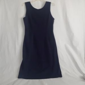 Banana Republic, Lined Navy Dress